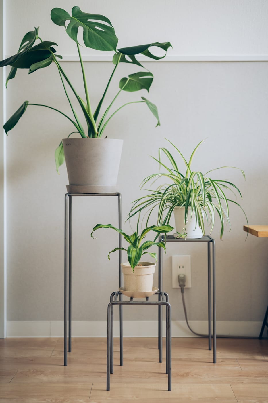 KNOP plant stands